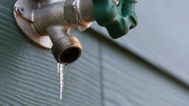 Best Emergency Plumbing Repair  in Phelan, CA
